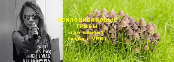 mix Алексин