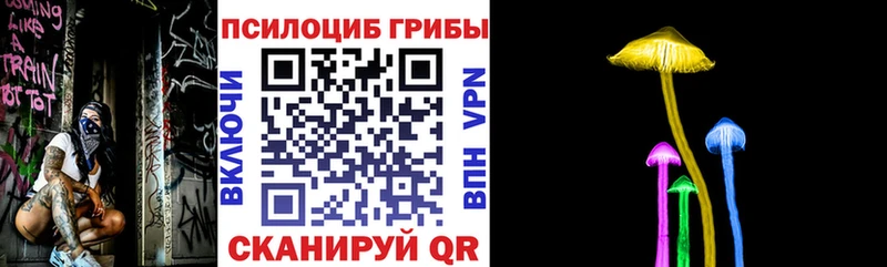 Псилоцибиновые грибы Psilocybine cubensis Краснокамск