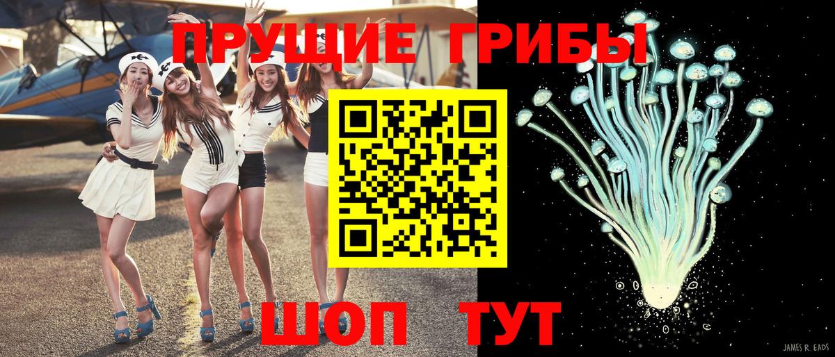 Псилоцибиновые грибы Psilocybe  купить наркоту  Краснокамск  Вход с VPN 